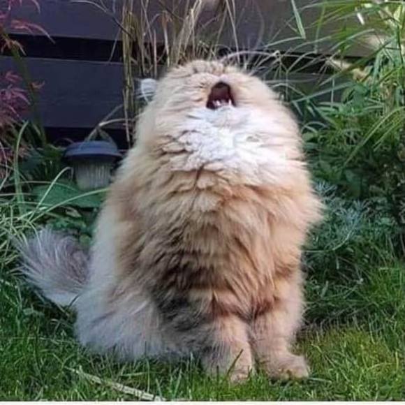 Meet your Posher, Jen - Picture 1 of 1